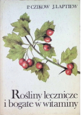 Rośliny lecznicze i bogate w witaminy