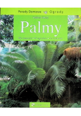 Palmy we wnętrzu w ogrodzie na balkonie