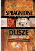 Spragnione dusze. Zjawy z czyśćca.