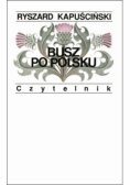 Busz po polsku