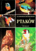 Ilustrowana Encyklopedia Ptaków