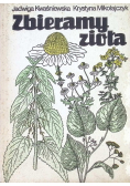 Zbieramy zioła