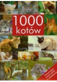 1000 kotów