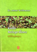 Kiełki Bożego Słowa Rok liturgiczny A