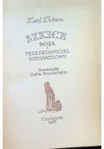 Szkice Boza i przedstawiciel niehandlowy