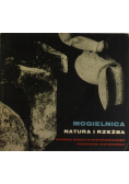 Mogielnica natura i rzeźba