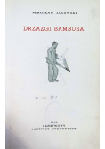 Drzazgi bambusa