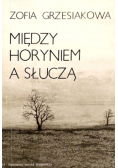 Między Horyniem a Słuczą