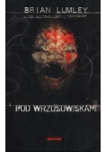 Pod wrzosowiskami