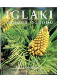 Iglaki ozdoba ogrodu