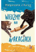 Wiedźmy na wakacjach