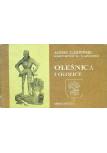 Oleśnica i okolice