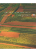 Nastroje małopolskie