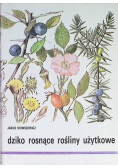 Dziko rosnące rośliny użytkowe