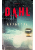 Bezdroża