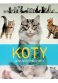 Koty Ilustrowany przewodnik