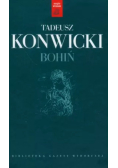 Bohiń