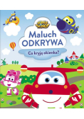 Super Wings Maluch odkrywa Co kryja okienka?