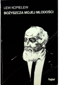 Bożyszcza mojej młodości