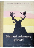 Odstrzał zwierzyny płowej