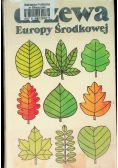 Drzewa Europy Środkowej