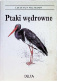 Leksykon przyrody Ptaki wędrowne