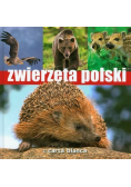 Zwierzęta Polski
