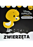 Disney maluch Książeczka kontrastowa Zwierzęta