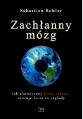 Zachłanny mózg Jak nienasycony homo sapiens skazuje świat na zagładę