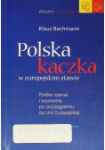 Polska kaczka w europejskim stawie