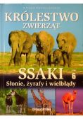 Królestwo zwierząt Ssaki Tom 6
