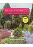 Iglaki w ogrodzie