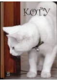 Koty