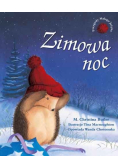 Zimowa noc