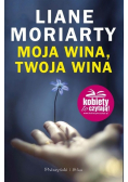 Moja wina twoja wina