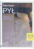 Pył