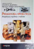 Pedagogika opiekuńcza Perspektywy myślenia o rodzinie