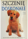 Szczenię doskonałe
