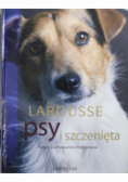 Psy i szczenięta Rasy Zachowanie Pielęgnacja