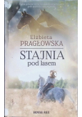 Stajnia pod lasem