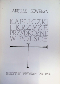 Kapliczki i krzyże przydrożne w Polsce