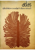 Atlas szkodników owadzich drzew leśnych