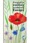 Pospolite rośliny środkowej Europy