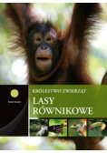 Lasy równikowe