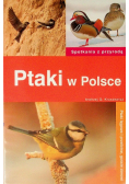 Ptaki w Polsce
