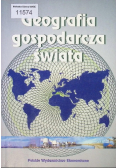 Geografia gospodarcza świata