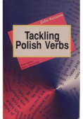 Tackling polish verbs