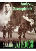 Skradziona miłość