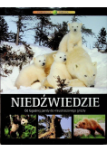 Niedźwiedzie od łagodnej pandy do nieustraszonego grizzly