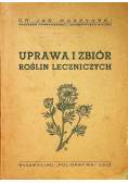 Uprawa i zbiór roślin leczniczych